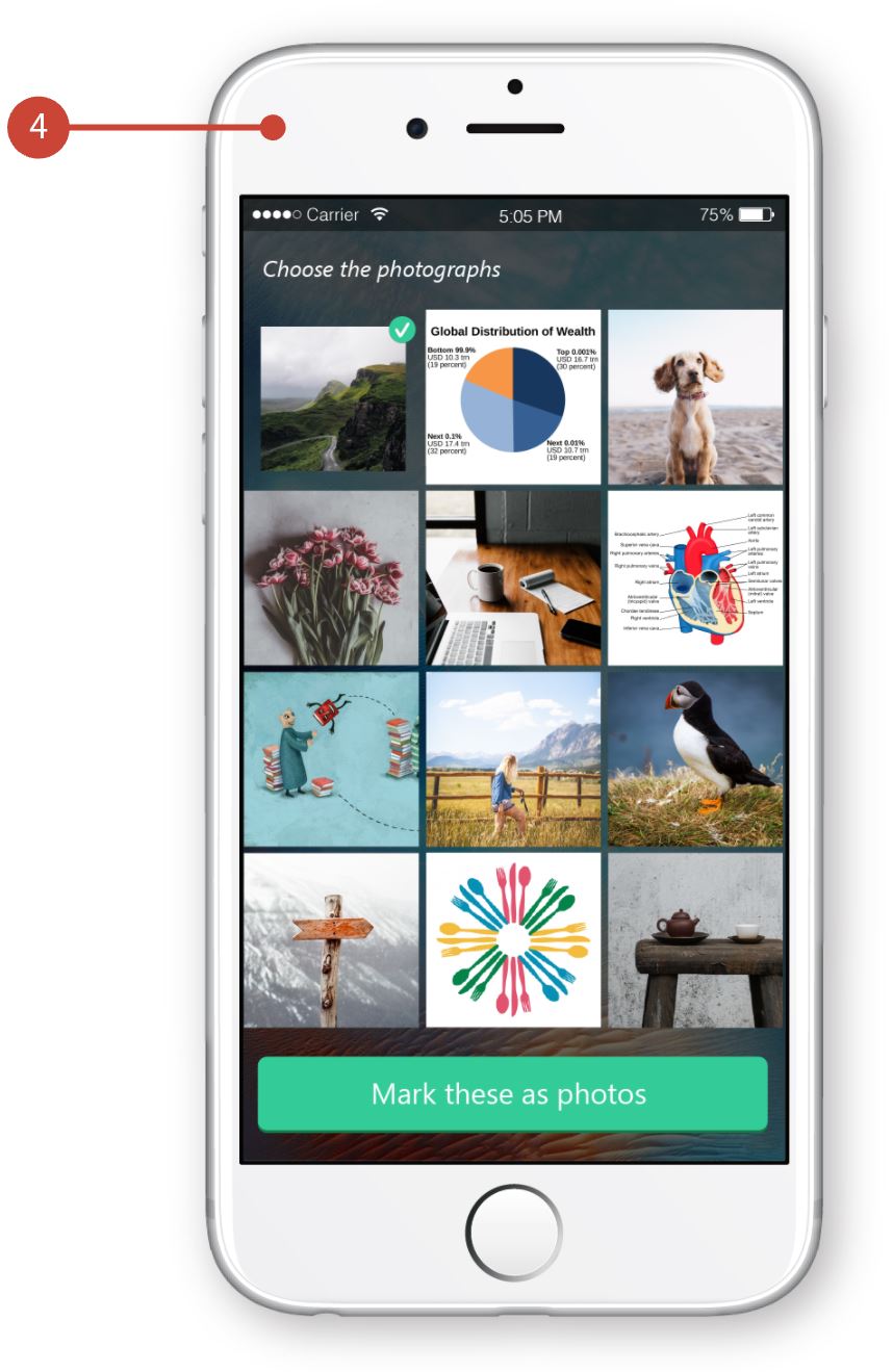 Graphic showing the photo filter app, which shows a grid of images. The user chooses the photographs in the set and submits them.