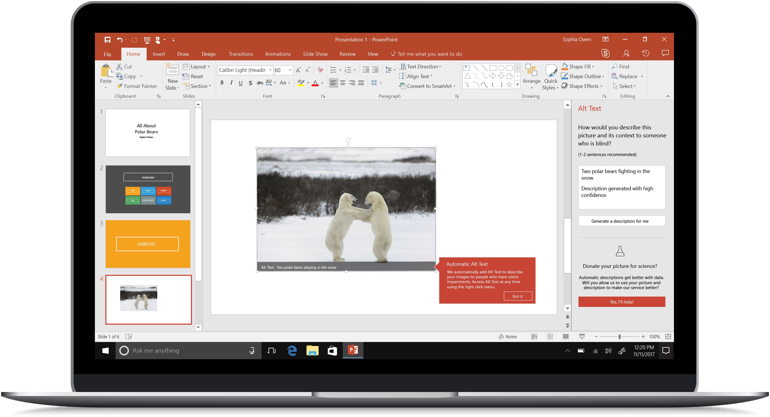 Mockup of a computer with auto alt text in PowerPoint captioning a photo of two polar bears.